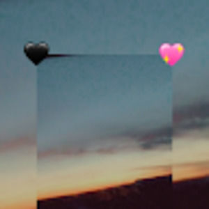 Meet your Posher, Hayleigh